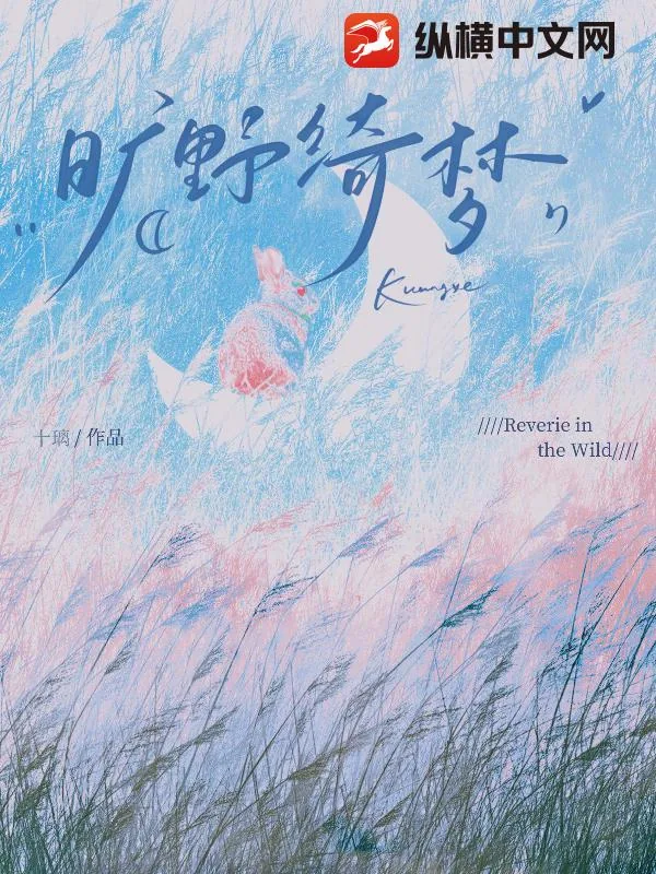 《旷野绮梦》小说封面