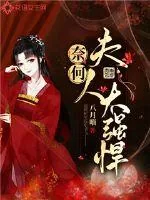 《奈何夫人太强悍》小说封面