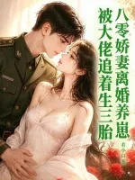 《八零娇妻离婚养崽,被大佬追着生三胎》小说封面