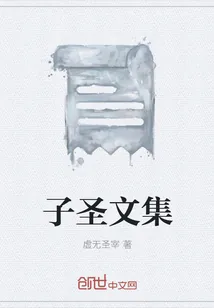 《子圣文集》小说封面