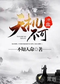 《天机不可泄露》小说封面