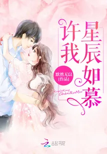 《许我星辰如慕》小说封面