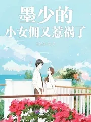 《墨少的小女佣又惹祸了》小说封面