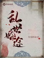 《乱世婚途》小说封面