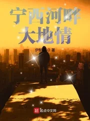 《宁西河畔大地情》小说封面