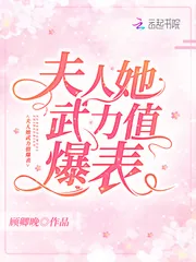 《夫人她武力值爆表》小说封面