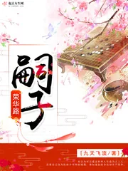 《嗣子荣华路》小说封面