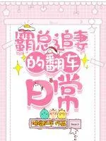 《霸总追妻的翻车日常》小说封面