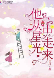 《他从星光中走来》小说封面