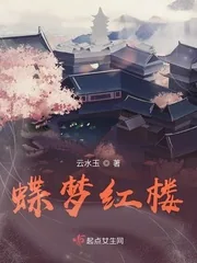 《蝶梦红楼》小说封面