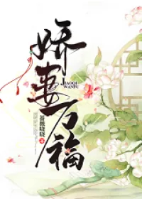《娇妻万福》小说封面