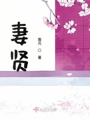 《妻贤》小说封面