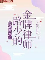 《暖城时光之路少的金牌律师》小说封面