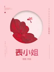 《表小姐》小说封面