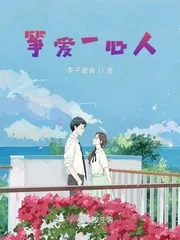 《筝爱一心人》小说封面