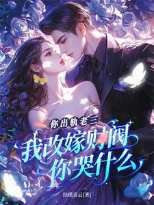 《你出轨老三，我改嫁财阀你哭什么》小说封面