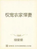 《权宠农家悍妻》小说封面