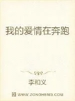 《我的爱情在奔跑》小说封面