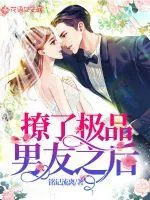 《撩了极品男友之后》小说封面