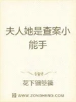 《夫人她是查案小能手》小说封面