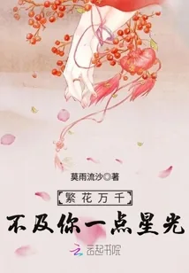 《繁花万千不及你一点星光》小说封面