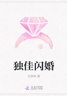 《独佳闪婚》小说封面