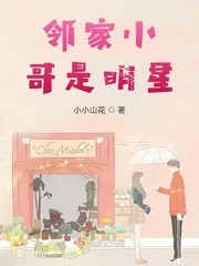 《邻家小哥是明星》小说封面