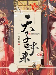 《天子呼来》小说封面