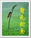 《龙啸大明》小说封面