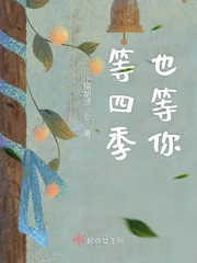 《等四季也等你》小说封面