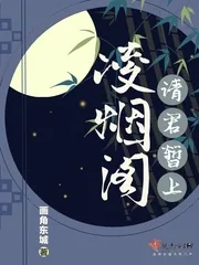 《请君暂上凌烟阁》小说封面