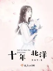 《十年北洋》小说封面