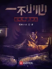 《一不小心就成了王座》小说封面