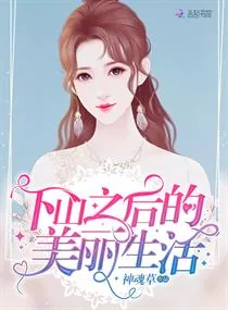 《下山之后的美丽生活》小说封面
