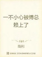 《一不小心被傅总赖上了》小说封面