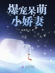 《爆宠呆萌小娇妻》小说封面
