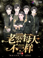 《老公每天不一样》小说封面