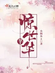 《惊世芊华》小说封面