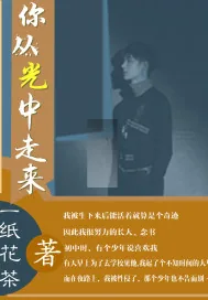 《你从光中走来》小说封面