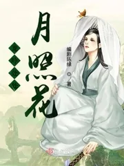 《龙吟处处月照花》小说封面