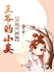 《王爷的小妾总想干掉我》小说封面