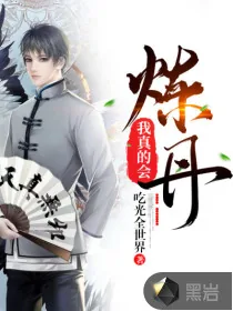《我真的会炼丹》小说封面