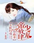 《帝少放肆宠：天价闪亮小萌妻》小说封面