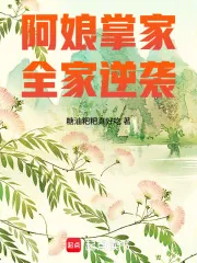 《阿娘掌家，全家逆袭》小说封面