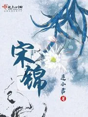 《宋锦》小说封面