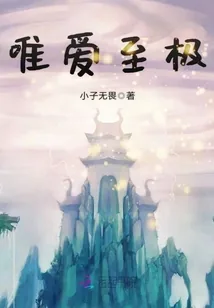 《唯爱至极》小说封面