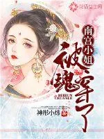 《南宫小姐被魂穿了》小说封面