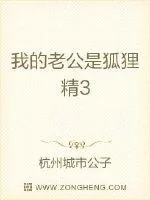 《我的老公是狐狸精3》小说封面