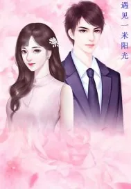 《遇见一米阳光》小说封面