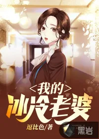 《我的冰冷老婆》小说封面